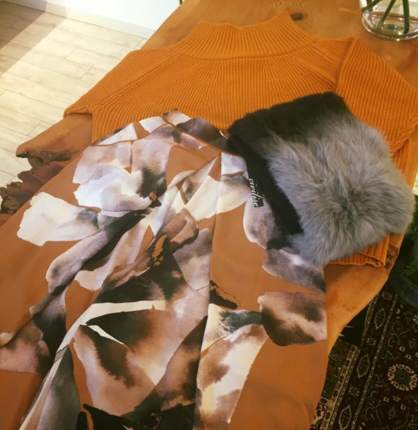 14680649_350504315285105_3886603193635042110_n